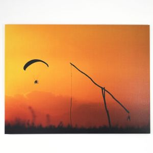 AF303 - Tablou Canvas 60x40cm