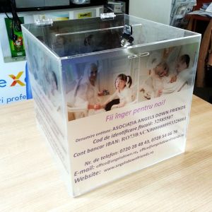 DS300 - Plexiglas Box 30cm 