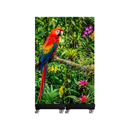 LED Poster Screen 2 units rental (rates per day)