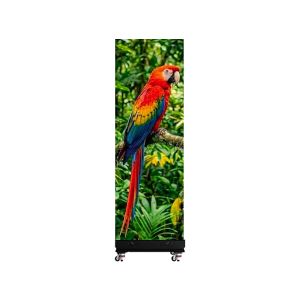 LED Poster Screen Totem