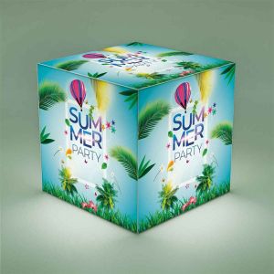 Printed Light Cube with battery 25x25x25cm